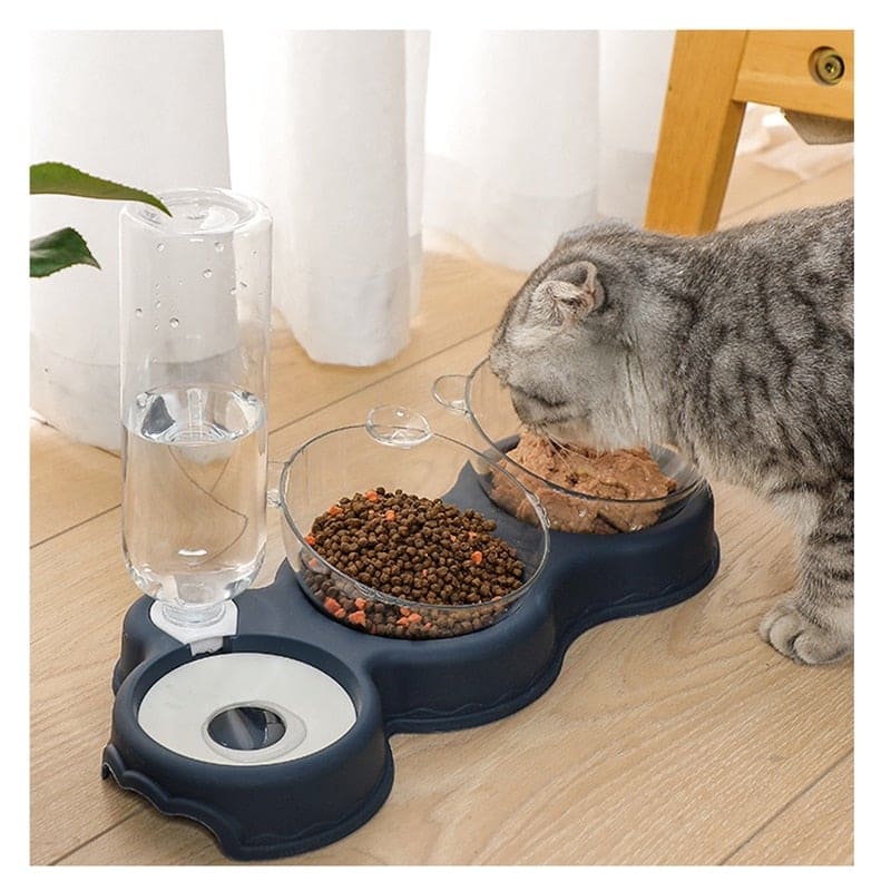 tigela para pets, tigela para gatos, tigela para gato, tigela para cachorro, tigela ortopédica para gatos, tigela ortopédica para gato, tigela ortopédica para cachorro, gato tigela, comedouro para gatos elevado, comedouro para gatos, comedouro elevado para gatos, comedouro elevado, comedouro alto para gatos