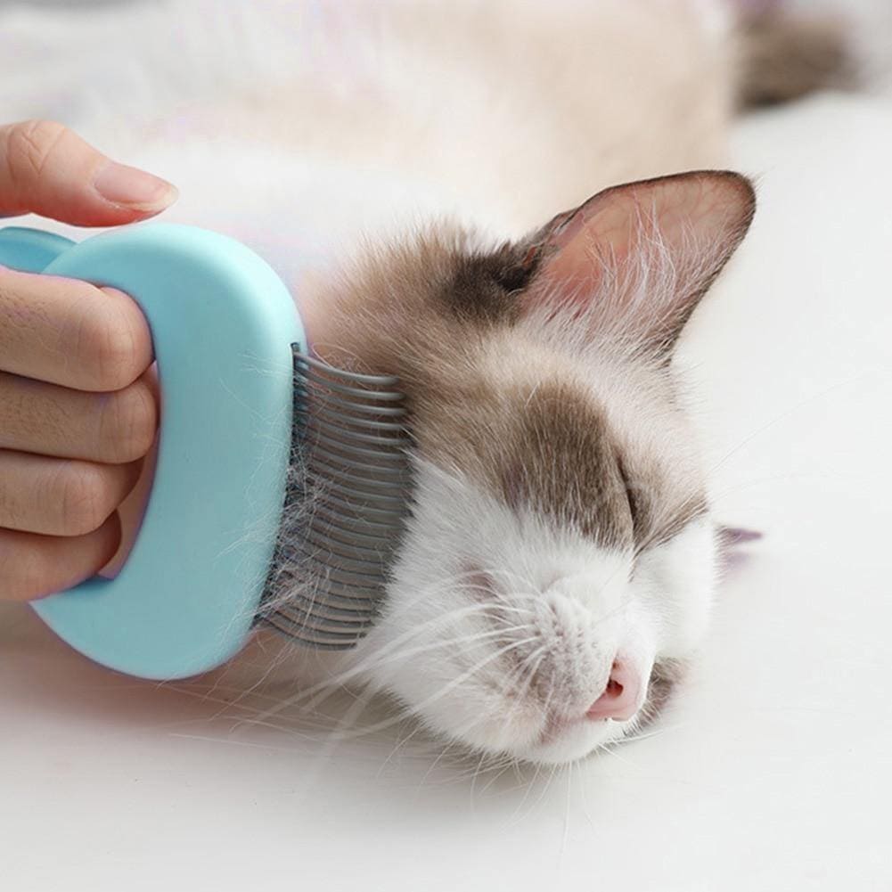 escova gato, escova para tirar pelo de gato, escova de gato, escova para gatos, escova removedora de pelos pet, escova tira pelos gato, escova removedora de pelos gato, escova para pets, escova massagem gatos