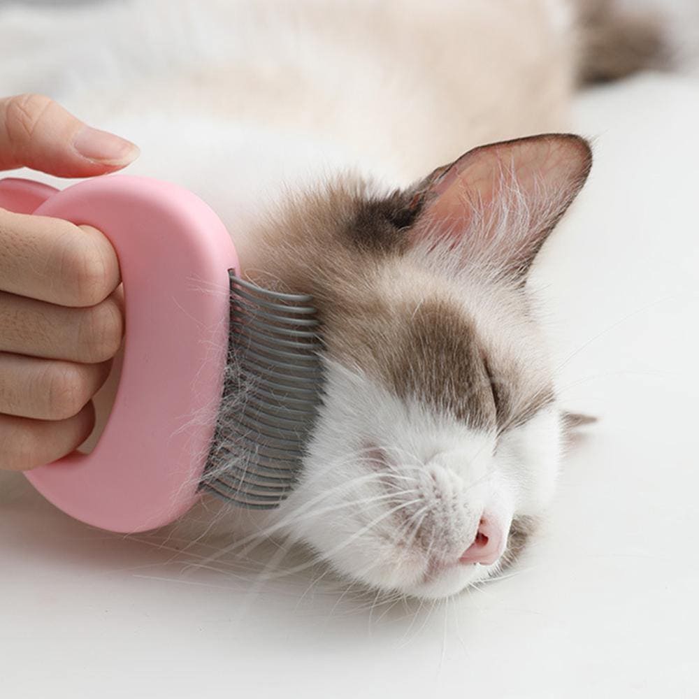 escova gato, escova para tirar pelo de gato, escova de gato, escova para gatos, escova removedora de pelos pet, escova tira pelos gato, escova removedora de pelos gato, escova para pets, escova massagem gatos