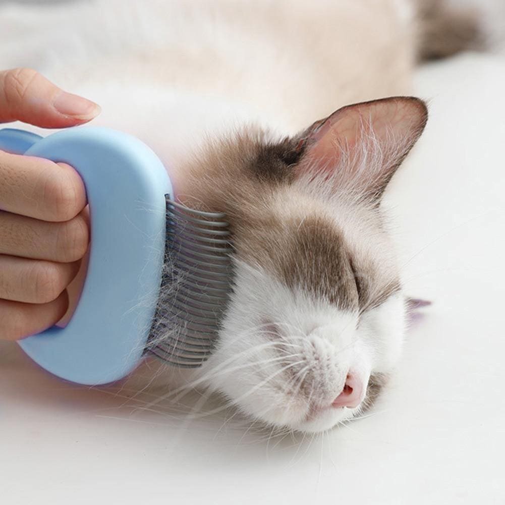 escova gato, escova para tirar pelo de gato, escova de gato, escova para gatos, escova removedora de pelos pet, escova tira pelos gato, escova removedora de pelos gato, escova para pets, escova massagem gatos